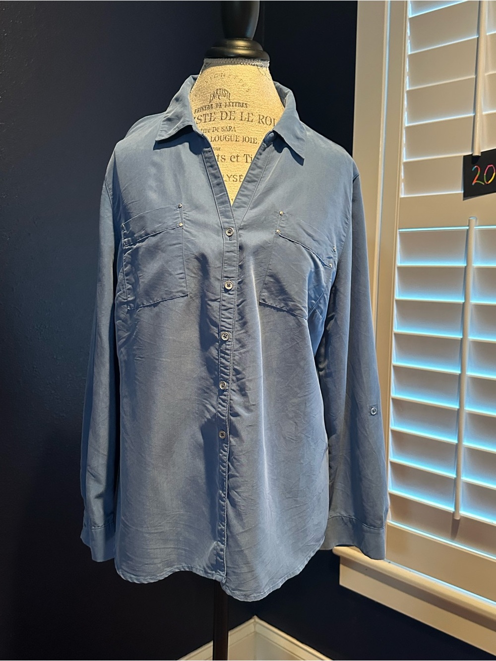 Light Blue Button-Down Shirt - Classic Women's Long Sleeve Top